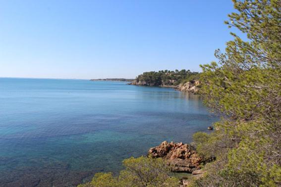 Casita De Pescadores Con Vista Al Puerto Apartment ลาเมตยาเดมาร์ ภายนอก รูปภาพ